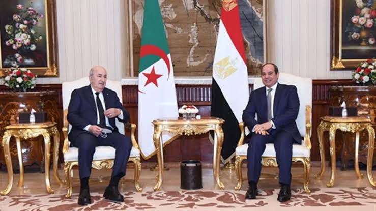 بدء مباحثات الرئيس السيسي ونظيره الجزائري في قصر الاتحادية بدء مباحثات الرئيس السيسي ونظيره الجزائري في قصر الاتحادية