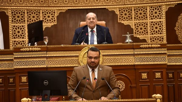 برلماني: سوق العمل المصري يعانى من الاختلالات الهيكلية برلماني: سوق العمل المصري يعانى من الاختلالات الهيكلية