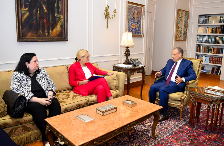 وزير الخارجية: يجب الضغط على إسرائيل لتتحمل مسئولياتها تجاه المدنيين بغزة