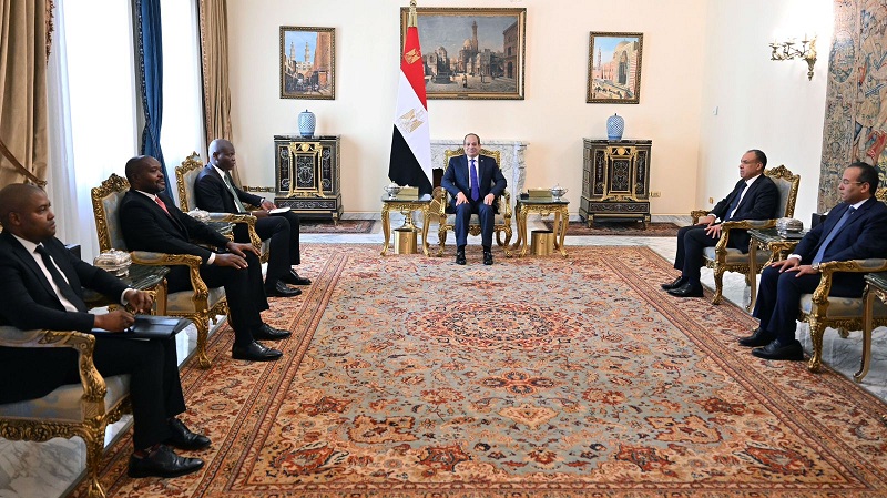 وزير العلاقات الدولية الجنوب إفريقي يؤكد تقدير بلاده للدور المصري في المنطقة