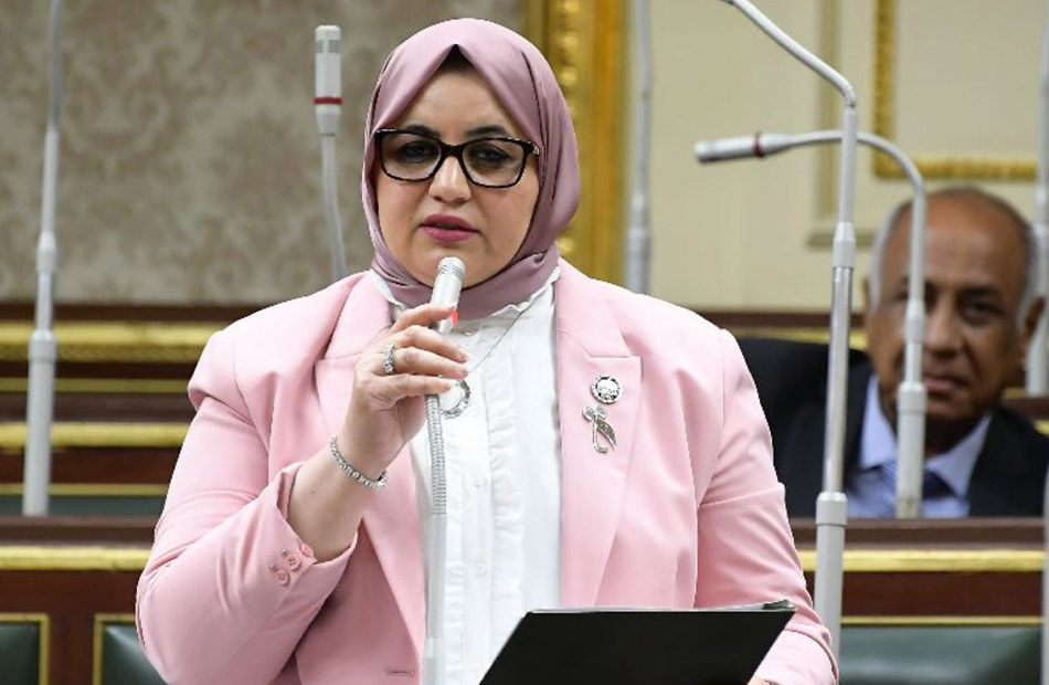 «برلمانية»: عودة «النصر للسيارات» للإنتاج خطوة متقدمة على طريق توطين الصناعة