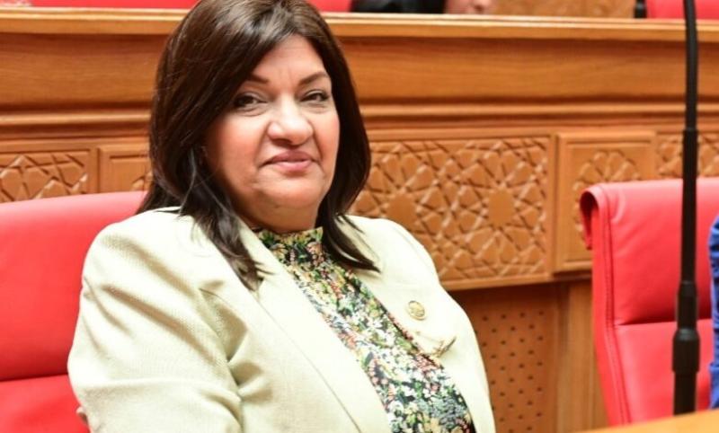 ايفلين متى :إعادة تشغيل «النصر للسيارات» أحد إنجازات الحكومة الحالية