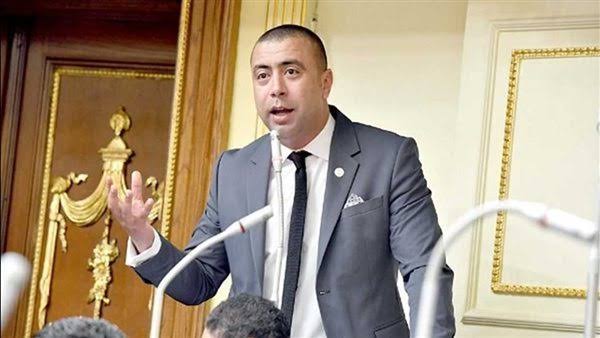 برلمانية حماة الوطن بالنواب توافق على مشروع قانون لجوء الأجانب برلمانية حماة الوطن بالنواب توافق على مشروع قانون لجوء الأجانب