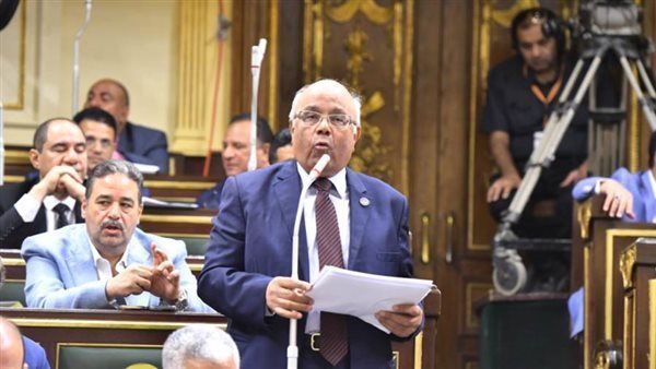 غدا.. إسكان النواب تبدأ مناقشات الإيجار القديم بحضور شريف الشربينى