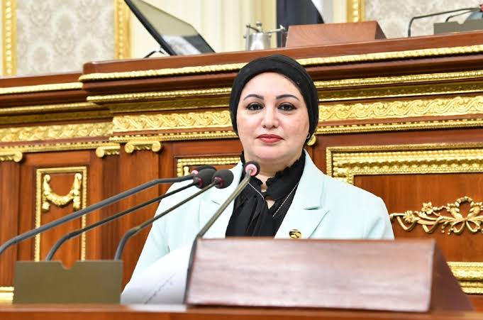 سولاف درويش: مشروع قانون الإجراءات الجنائية عمل تاريخي سولاف درويش: مشروع قانون الإجراءات الجنائية عمل تاريخي