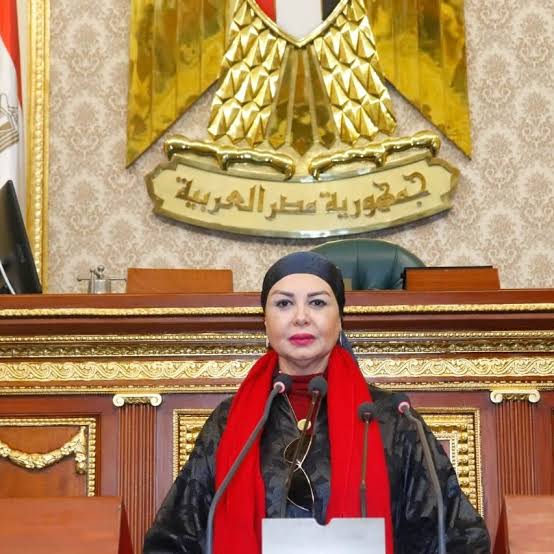 أمل سلامة تطالب بتأهيل المحاكم على مستوى يليق بما يقره قانون الإجراءات الجنائية