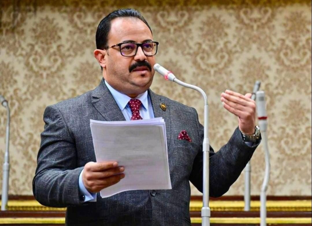 بعد منعه في 19 دولة.. أول طلب إحاطة لحجب التيك توك عن مصر