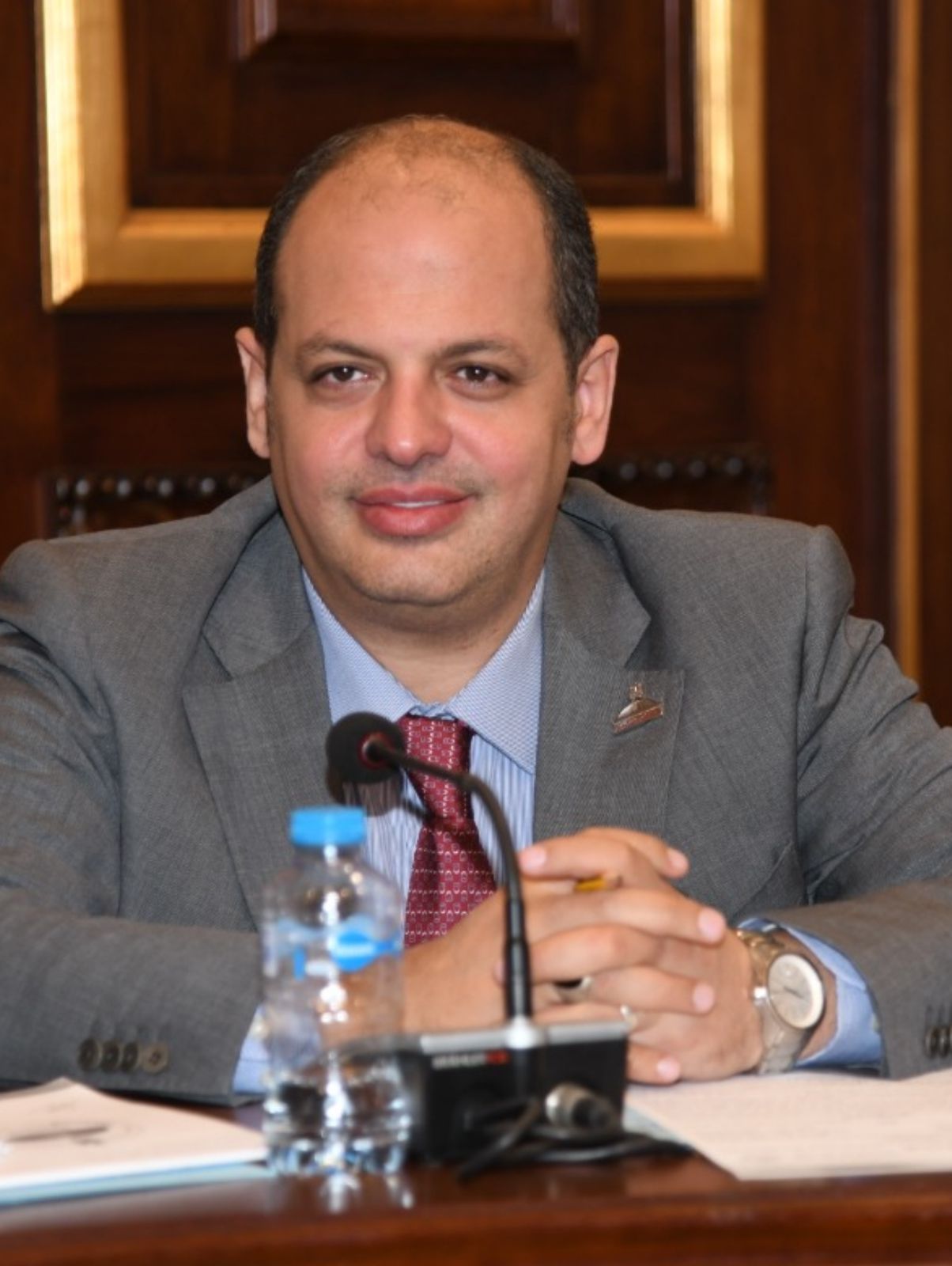 أحمد عبدالماجد: قانون لجوء الأجانب يستهدف تنظيم أوضاعهم وتوفير الرعاية والخدمات الكاملة