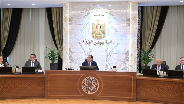 الغرامة والسجن .. «الحكومة» توافق على تشديد عقوبة سرقة الكهرباء