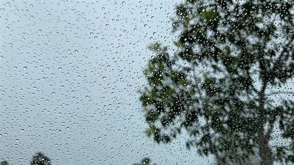 غدا..«الأرصاد» تحذر من فرص سقوط أمطار ورياح وأتربة