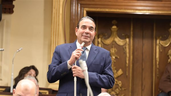 «برلماني» يطالب بتعريف الأسر البديلة فى قانون الضمان الاجتماعي «برلماني» يطالب بتعريف الأسر البديلة فى قانون الضمان الاجتماعي