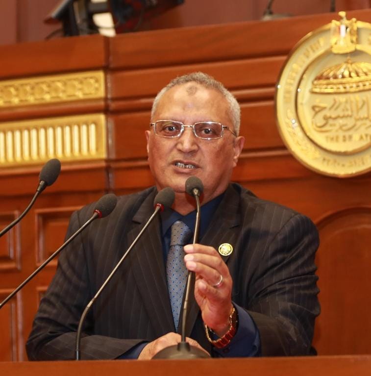 برلماني: قانون الضمان الاجتماعي والدعم النقدي انتصار للعدالة الاجتماعية