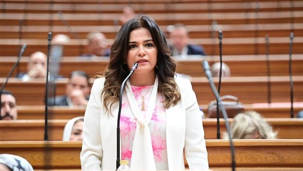 برلمانية: رقمنة هيئات قصور الثقافة خطوة هامة للحفاظ على التراث والهوية المصرية