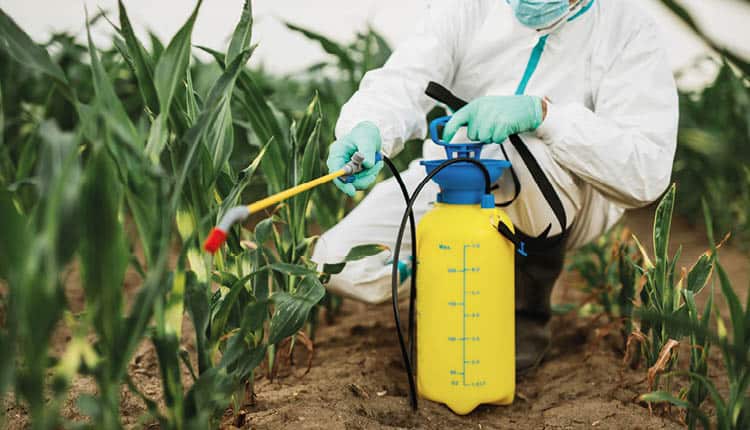 الأوراق والشروط المطلوبة لتأسيس محل بيع المبيدات الزراعية