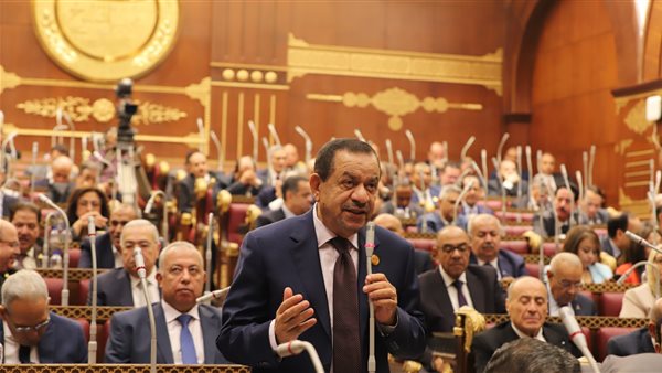 رئيس زراعة الشيوخ يدعو لتسهيل إجراءات تقنين أوضاع المواطنين لتحقيق الاستقرار 