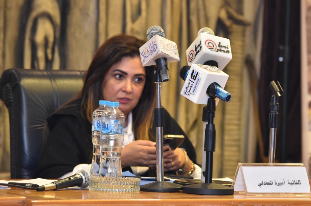 أميرة العادلي: تعديل التشريعات ضروري لدعم حرية الصحافة وتعزيز حقوق الصحفيين أميرة العادلي: تعديل التشريعات ضروري لدعم حرية الصحافة وتعزيز حقوق الصحفيين