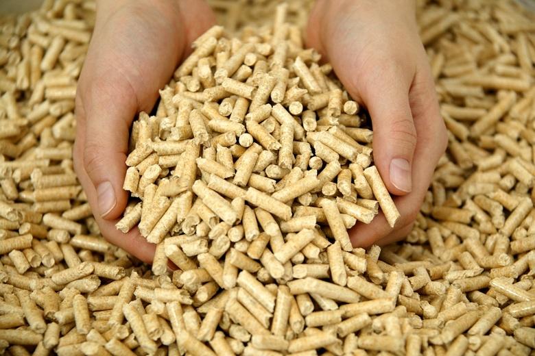 “وزارة الزراعة” تصدر 596 ترخيصًا لأنشطة الثروة الحيوانية وتدعم صناعة الأعلاف