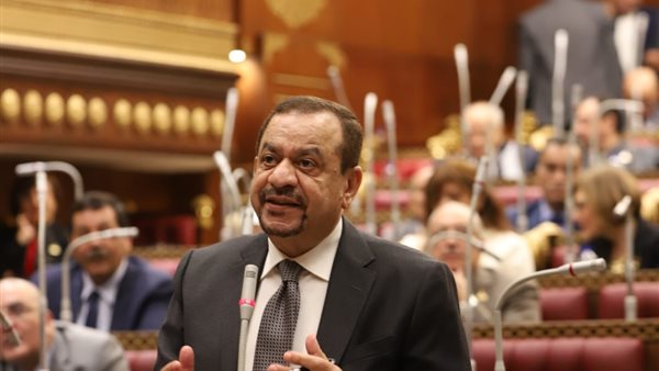 “الشيوخ” يرفض رفع الحصانة عن النائب عبد السلام الجبلى