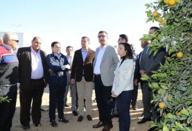 وزيرا الزراعة المصري والأردني يتفقدان مزارع تصدير الموالح بالنوبارية