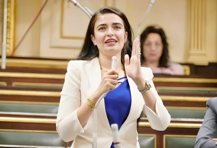 “برلمانية” تطالب بإصلاح تدريس تكنولوجيا المعلومات: تحولت لمادة حفظ