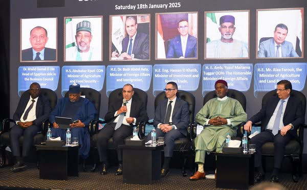 وزير الخارجية: منتدى الأعمال المصري-النيجيري شراكة استراتيجية لقيادة التنمية الاقتصادية في إفريقيا