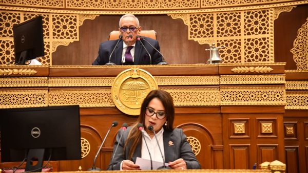 النائبة راجية الفقي تستعرض طلب مناقشة بشأن ترميم الآثار المصرية
