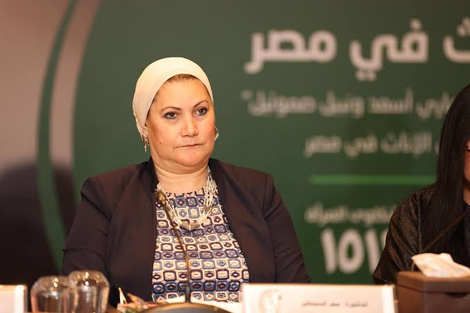 السنباطي: الدولة المصرية قامت بخطوات حثيثة لبناء الدولة المدنية الحديثة