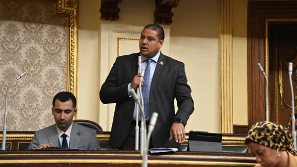 محمد اسماعيل: نحن في حاجة إلى دمج الاقتصاد الغير الرسمي إلى الاقتصاد الوطني محمد اسماعيل: نحن في حاجة إلى دمج الاقتصاد الغير الرسمي إلى الاقتصاد الوطني