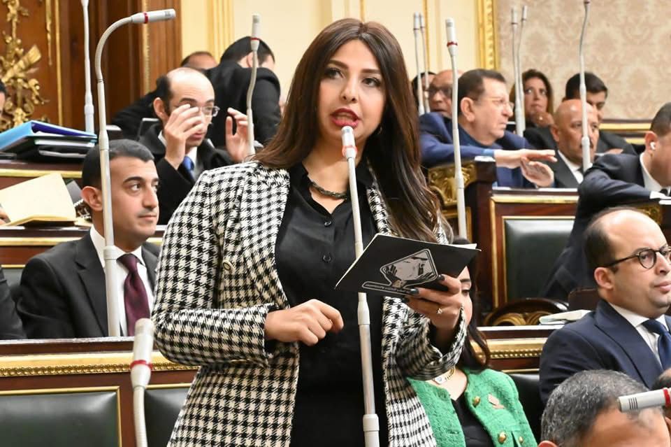 نشوى الشريف “نائبة التنسيقية”: أى مشاريع تهجير قسرى للشعب الفلسطينى خيانة للعدالة..وعلى المجتمع الدولى ألايقف متفرجا