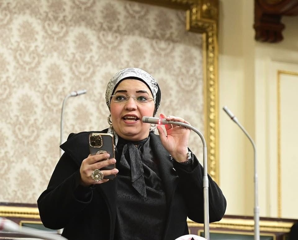نائبة التنسيقية دعاء عريبي: ندعم موقف الدولة المصرية في رفض التهجير القسري للفلسطينيين وتصفية القضية نائبة التنسيقية دعاء عريبي: ندعم موقف الدولة المصرية في رفض التهجير القسري للفلسطينيين وتصفية القضية