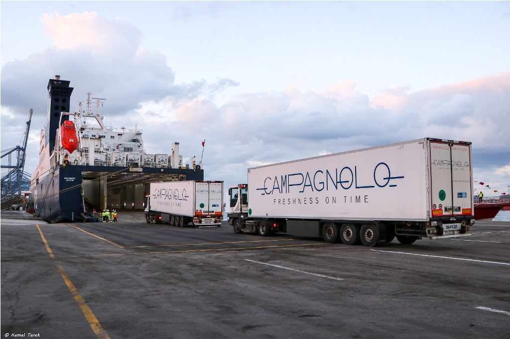 النقل تدعو للاستفادة من مميزات خط “الرورو” لنقل الحاصلات الزراعية والخضروات سريعة التلف إلى إيطاليا