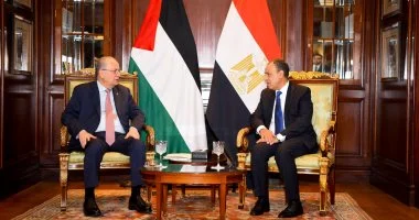 وزير الخارجية يستعرض جهود مصر لضمان استدامة اتفاق وقف إطلاق النار فى غزة