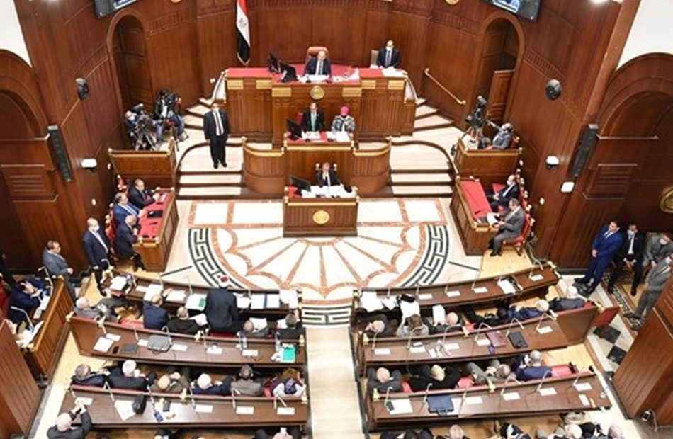 النائب علي مهران: استضافة مصر قمة عربية طارئة تعكس دعم القيادة السياسية لحقوق الشعب الفلسطيني