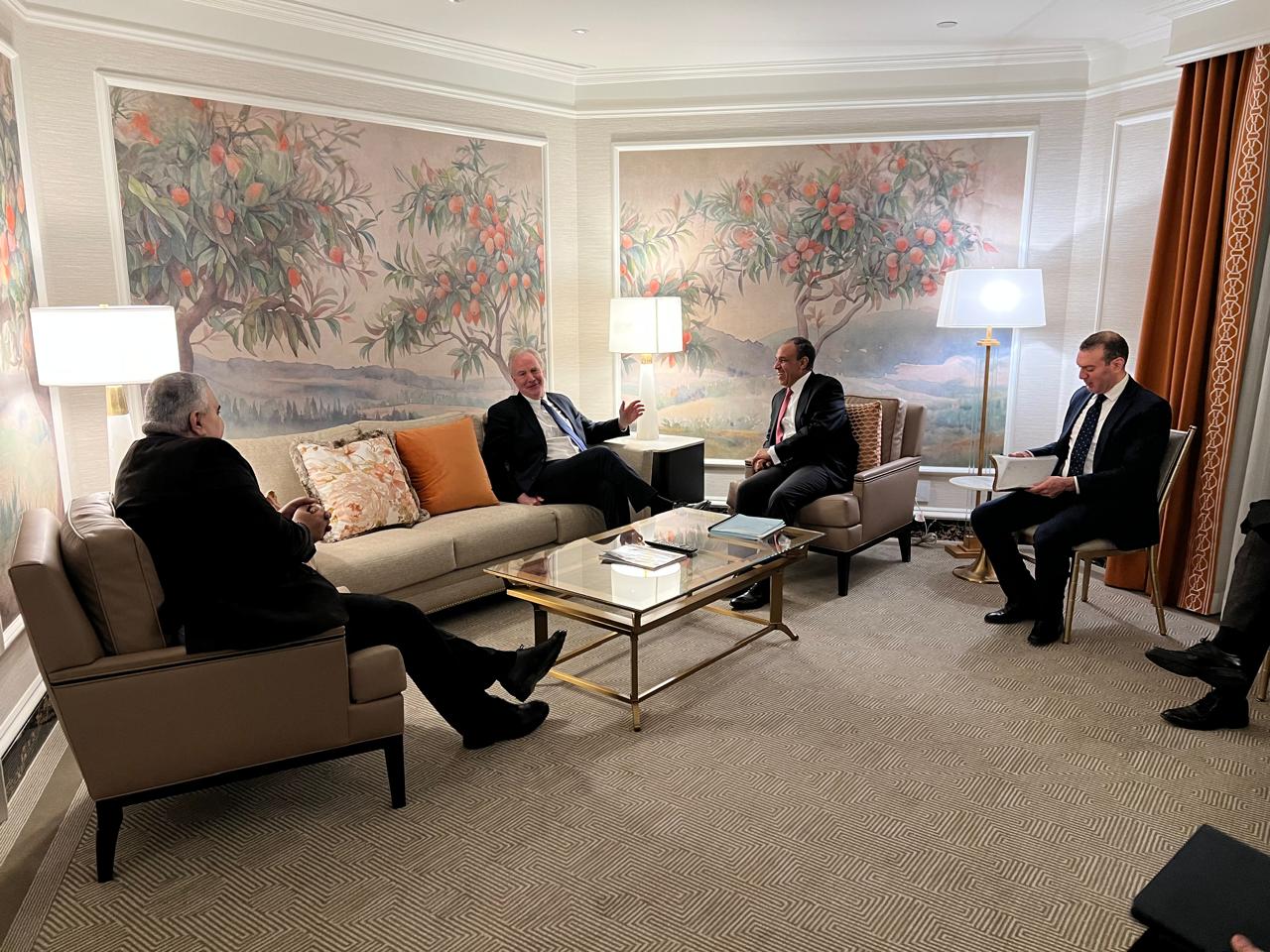 عبد العاطى يبحث مع عضو لجنة العلاقات الخارجية بالشيوخ الأمريكي سبل دعم الشراكة الاستراتيجية بين البلدين