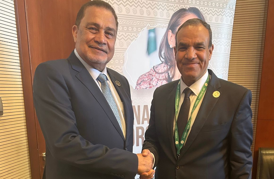 وزير الخارجية يؤكد أهمية دعم التعاون الاستثماري والتجاري مع الدول الإفريقية