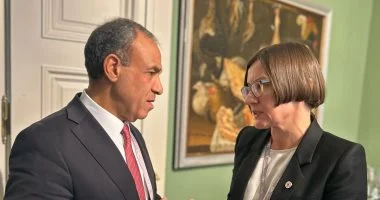 وزير الخارجية: مصر قدمت 70٪؜ من إجمالي المساعدات المقدمة إلى غزة