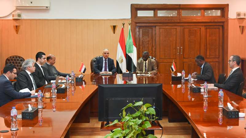 وزير الرى: قضية السد يجب بقاؤها في الإطار الثلاثي دون استدراج لدول حوض النيل