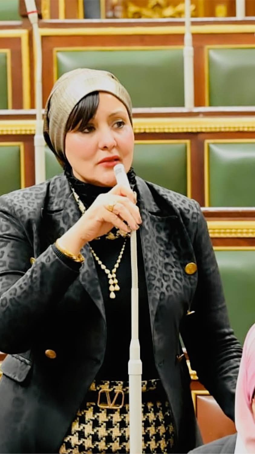 هناء فاروق: إعادة التكامل الاقتصادي مع دول القارة الإفريقية على رأس أولويات مصر