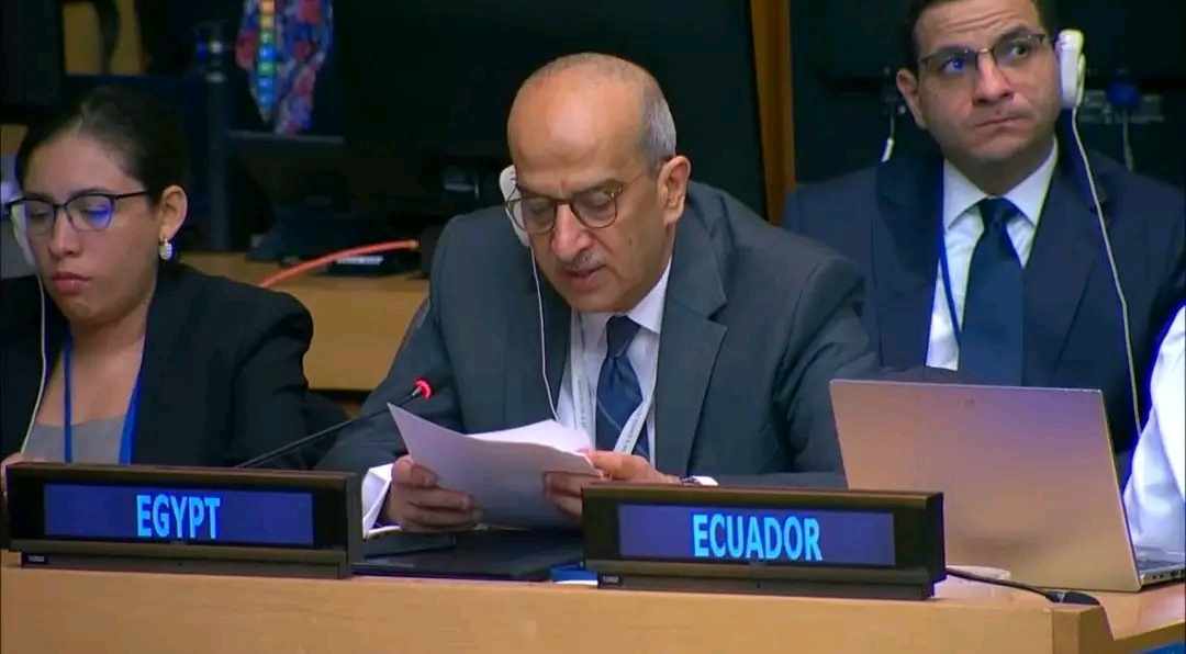 مصر تؤكد ضرورة البدء في الإعداد لمستقبل قضية المياه بالأمم المتحدة بعد عام 2028