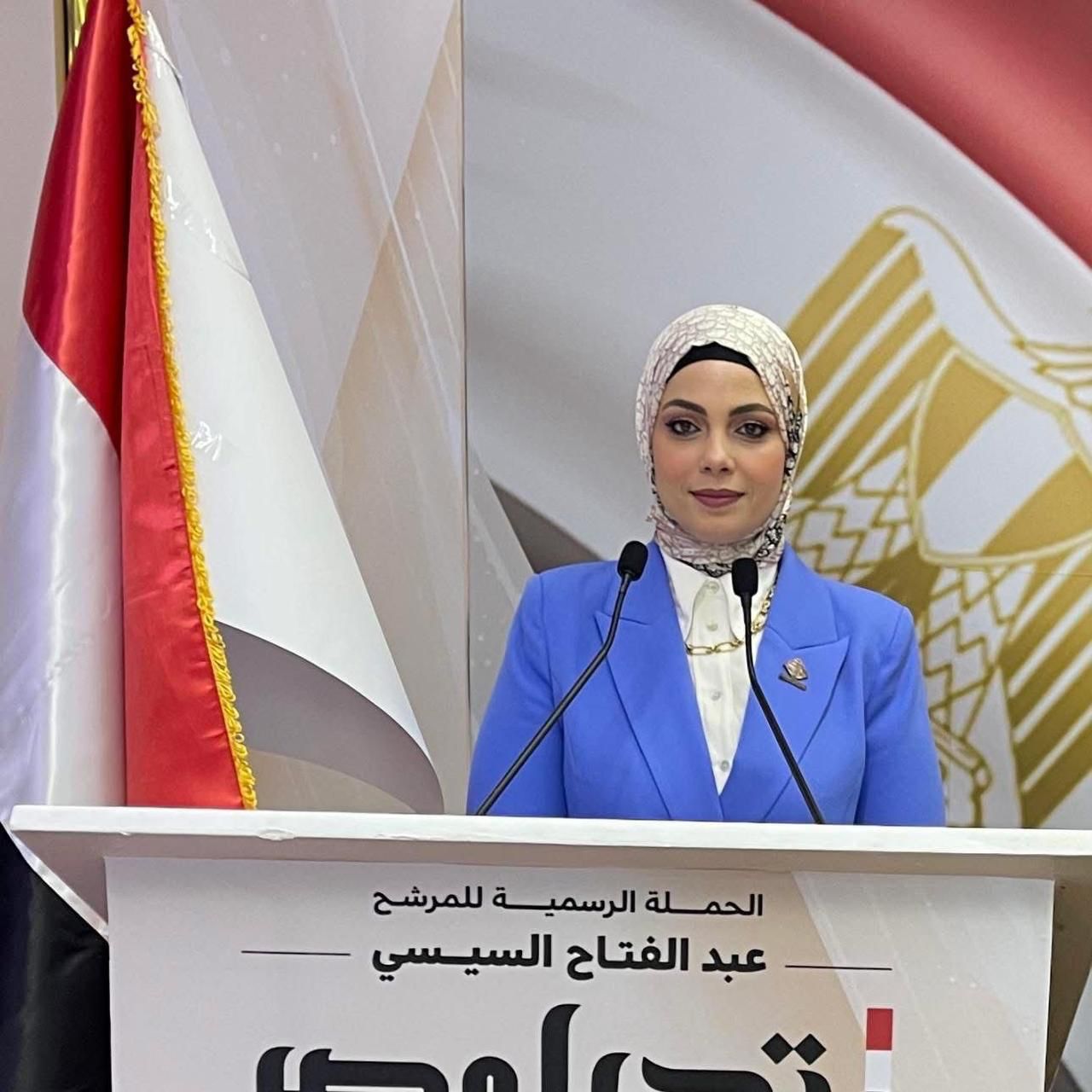 القشاوي: تصريحات الرئيس السيسي تجسد رؤية استراتيجية حازمة لحماية أمن مصر واستقراره