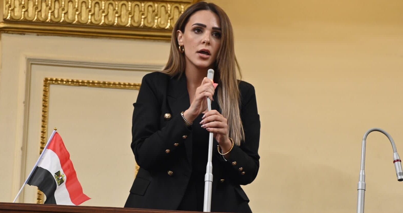 “برلماني” تتقدم بطلب إحاطة بشأن صعوبة إجراءات تركيب العدادات الكودية