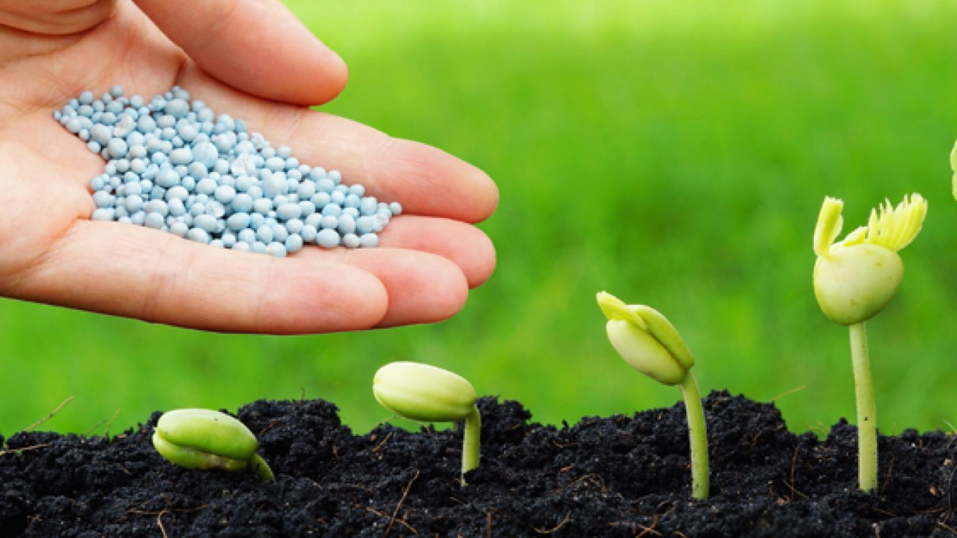 أسعار الأسمدة بالأسواق اليوم الأربعاء 12 مارس 2025