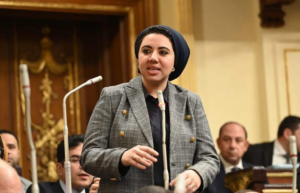 نائبة التنسيقية أميرة صابر تطالب بزيادة نسبة العلاوة الدورية في مشروع قانون العمل الجديد نائبة التنسيقية أميرة صابر تطالب بزيادة نسبة العلاوة الدورية في مشروع قانون العمل الجديد