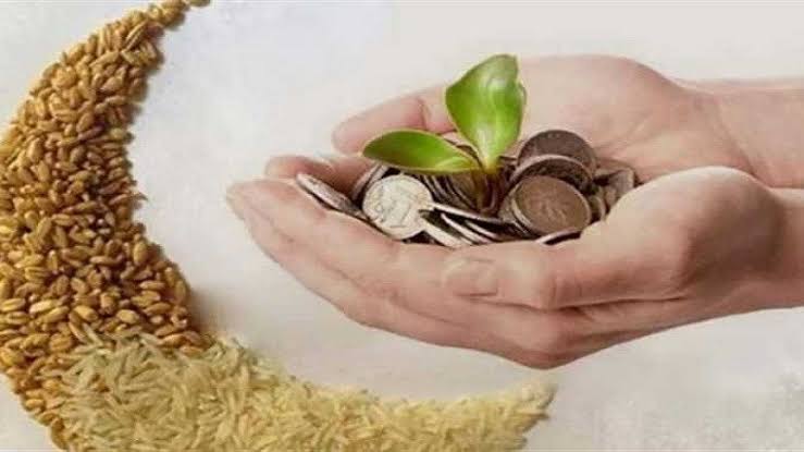 «الإفتاء» توضح قيمة زكاة الفطر وموعدها وكيفية إخراجها