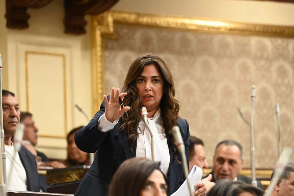 نواب التنسيقية يؤكدون ضرورة تخفيف الغرامة في عقوبة الخطأ الطبي العادي بمشروع قانون المسئولية الطبية