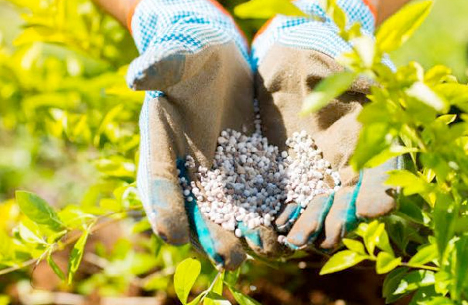 أسعار الأسمدة بالأسواق اليوم الأربعاء 26 مارس 2025