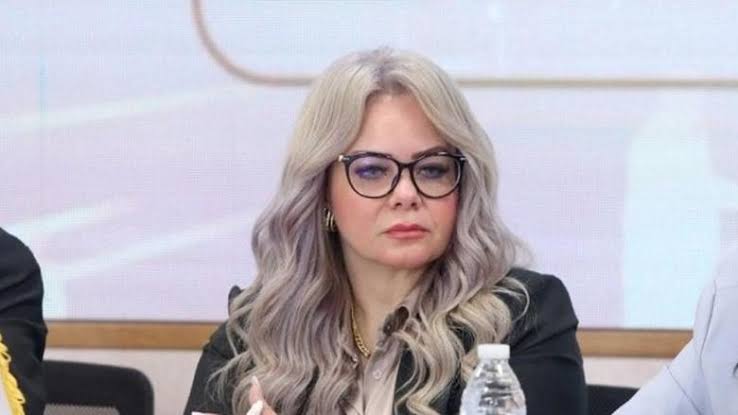 اختيار ريهام الشبراوي عضوًا بأمانة المشروعات الصغيرة والمتوسطة بحزب الجبهة الوطنية