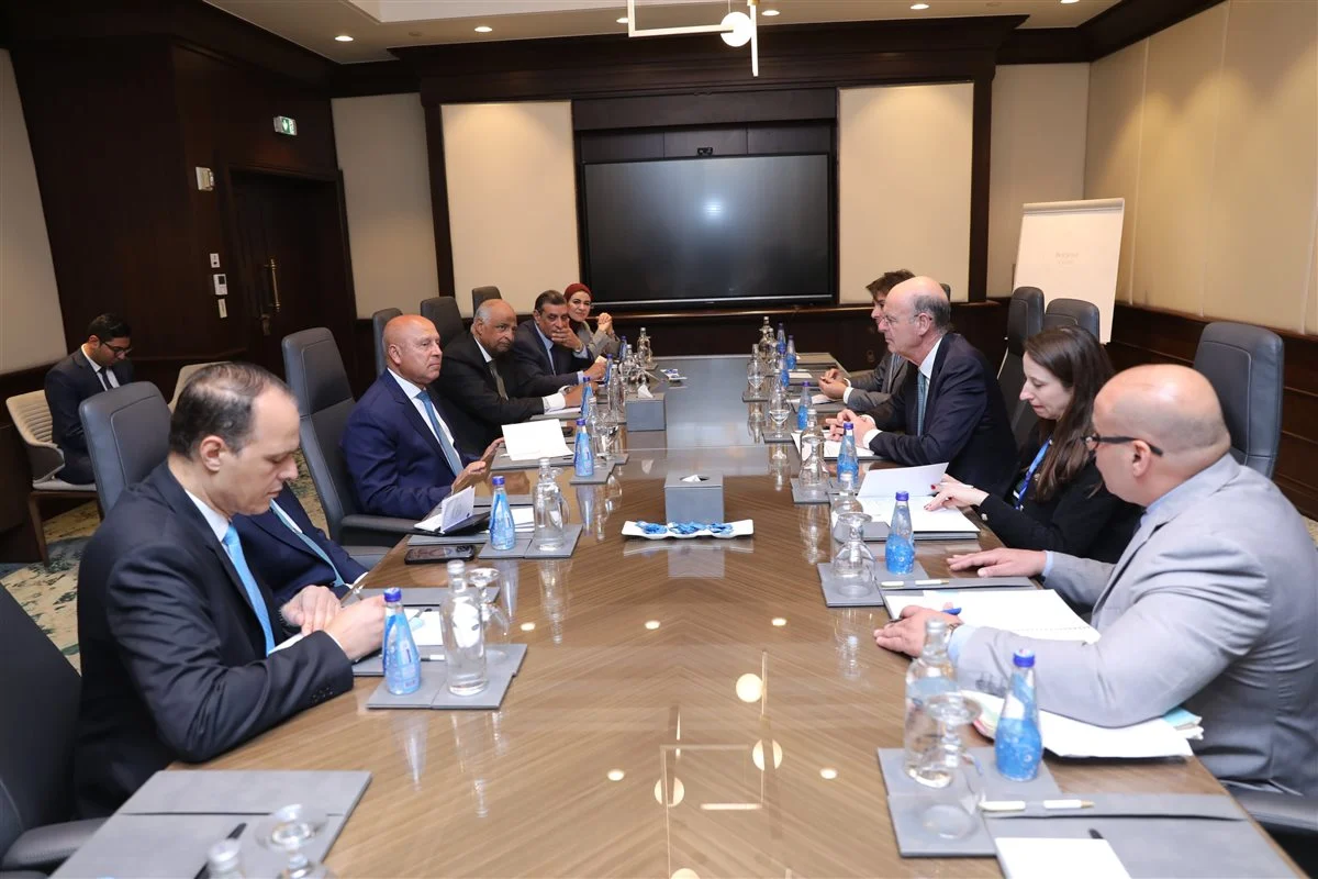 كامل الوزير: فرنسا مهتمة بالتعاون لإنشاء مصانع لإنتاج خلايا الطاقة الشمسية