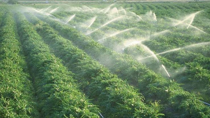 مشروع جديد للحفاظ على مياه الري وزيادة إنتاج المحاصيل في 7 محافظات