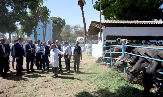 رئيس الوزراء يتفقد محطة الثروة الحيوانية بقرية “الحمام” بمركز أبنوب رئيس الوزراء يتفقد محطة الثروة الحيوانية بقرية “الحمام” بمركز أبنوب